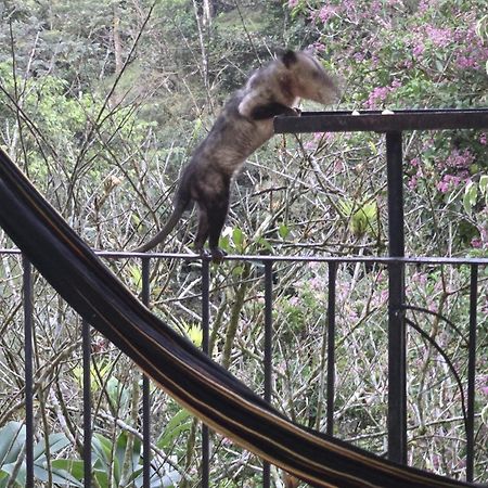 El Valle De Anton La Chachalaca Bagian luar foto